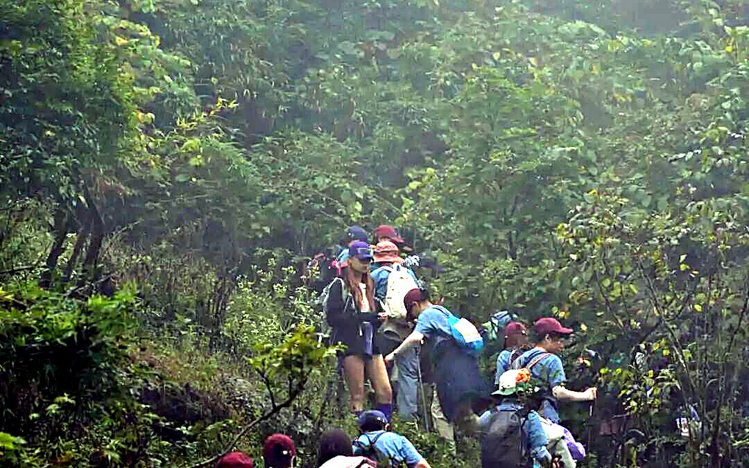徒步大会 / 全民健身 · 全国徒步大会武隆站山间徒步人流